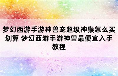 梦幻西游手游神兽宠超级神猴怎么买划算 梦幻西游手游神兽最便宜入手教程